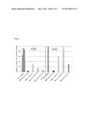 FUEL CELL SEPARATOR MATERIAL, AND FUEL CELL STACK USING THE SAME diagram and image