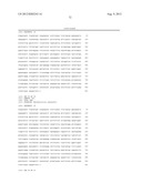  IN Vivo Incorporation of Unnatural Amino Acids diagram and image