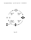  IN Vivo Incorporation of Unnatural Amino Acids diagram and image