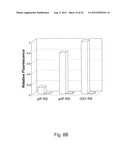  IN Vivo Incorporation of Unnatural Amino Acids diagram and image