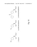  IN Vivo Incorporation of Unnatural Amino Acids diagram and image