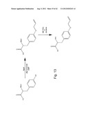  IN Vivo Incorporation of Unnatural Amino Acids diagram and image