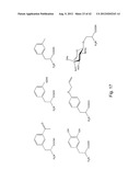  IN Vivo Incorporation of Unnatural Amino Acids diagram and image