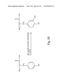  IN Vivo Incorporation of Unnatural Amino Acids diagram and image