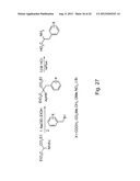  IN Vivo Incorporation of Unnatural Amino Acids diagram and image