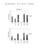 Stem Cell Culture Methods diagram and image