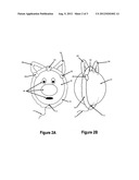 Composite Structure Using Chenille Stem and Inflated Balloon diagram and image