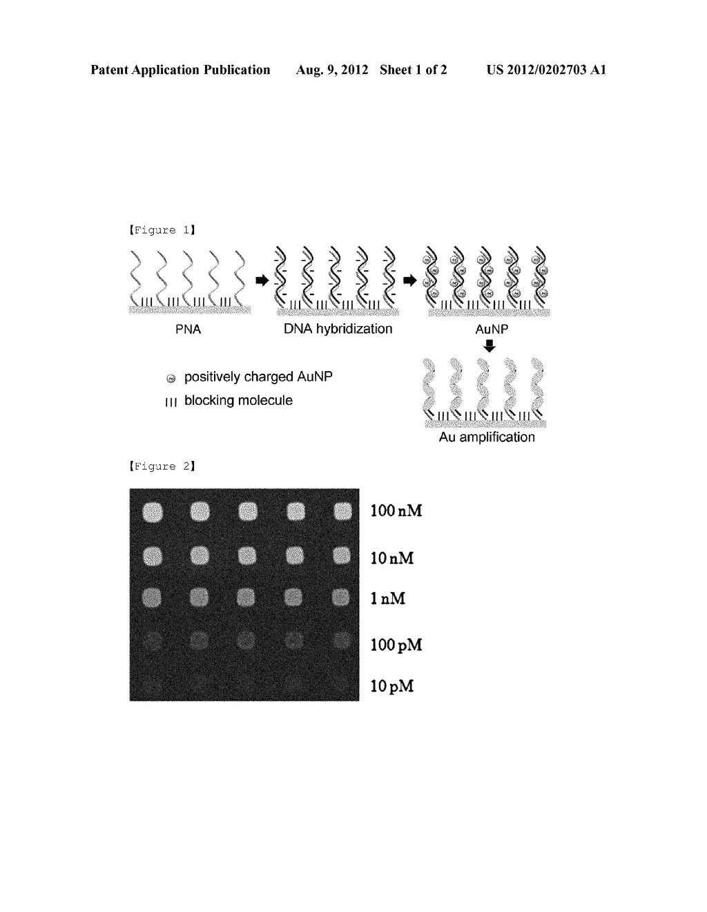 METHOD FOR DETECTING AND QUANTIFYING A TARGET SUBSTANCE USING A BIOCHIP - diagram, schematic, and image 02