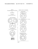 INHIBITION OF TREM RECEPTOR SIGNALING WITH PEPTIDE VARIANTS diagram and image