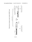 INHIBITION OF TREM RECEPTOR SIGNALING WITH PEPTIDE VARIANTS diagram and image