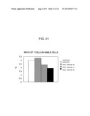 THERAPEUTIC AGENT FOR INFLUENZA VIRUS INFECTION DISEASES diagram and image