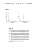 DUAL SMALL MOLECULE INHIBITORS OF CANCER AND ANGIOGENESIS diagram and image