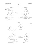 CONFORMATIONALLY CONSTRAINED, FULLY SYNTHETIC MACROCYCLIC COMPOUNDS diagram and image