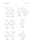 CONFORMATIONALLY CONSTRAINED, FULLY SYNTHETIC MACROCYCLIC COMPOUNDS diagram and image