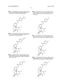 FUSED AMINODIHYDROPYRIMIDONE DERIVATIVES diagram and image