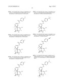 FUSED AMINODIHYDROPYRIMIDONE DERIVATIVES diagram and image