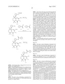 FUSED AMINODIHYDROPYRIMIDONE DERIVATIVES diagram and image