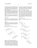 FUSED AMINODIHYDROPYRIMIDONE DERIVATIVES diagram and image