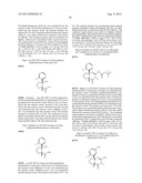 FUSED AMINODIHYDROPYRIMIDONE DERIVATIVES diagram and image