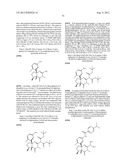 FUSED AMINODIHYDROPYRIMIDONE DERIVATIVES diagram and image