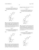 FUSED AMINODIHYDROPYRIMIDONE DERIVATIVES diagram and image