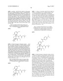 FUSED AMINODIHYDROPYRIMIDONE DERIVATIVES diagram and image