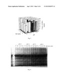  METHOD FOR EXTRACTING RECOMBINANT HUMAN SERUM ALBUMIN FROM TRANSGENIC     RICE GRAIN diagram and image