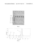 PROCESS FOR THE PURIFICATION OF FC-CONTAINING PROTEINS diagram and image