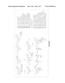 Novel Flavanone Derivative diagram and image