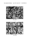 SYSTEMS AND PROCESSES FOR CATALYTIC PYROLYSIS OF BIOMASS AND     HYDROCARBONACEOUS MATERIALS FOR PRODUCTION OF AROMATICS WITH OPTIONAL     OLEFIN RECYCLE, AND CATALYSTS HAVING SELECTED PARTICLE SIZE FOR CATALYTIC     PYROLYSIS diagram and image