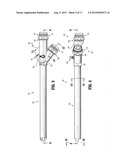 Endoluminal Access Device diagram and image