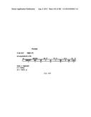 SYSTEM AND APPARATUS FOR GROUP FLOATING-POINT ARITHMETIC OPERATIONS diagram and image