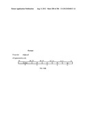 SYSTEM AND APPARATUS FOR GROUP FLOATING-POINT ARITHMETIC OPERATIONS diagram and image