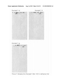 AQUEOUS SILANE SYSTEMS FOR BARE CORROSION PROTECTION AND CORROSION     PROTECTION OF METALS diagram and image