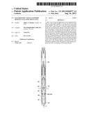 Self-Boosting, Non-Elastomeric Resilient Seal for Check Valve diagram and image