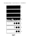 SELF INDICATING RADIATION ALERT DOSIMETER diagram and image