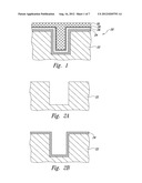 SEED LAYER PASSIVATION diagram and image