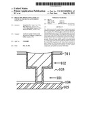 DIELECTRIC PROTECTION LAYER AS A CHEMICAL-MECHANICAL POLISHING STOP LAYER diagram and image