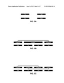 CAPACITIVE COUPLING BASED SENSOR diagram and image