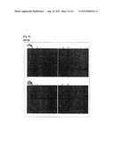 STEREOSCOPIC IMAGING METHOD AND SYSTEM THAT DIVIDES A PIXEL MATRIX INTO     SUBGROUPS diagram and image