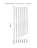 EXAMINATION DEVICE AND EXAMINATION METHOD diagram and image