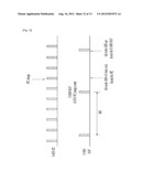 METHOD FOR ALLOCATING RESOURCE FOR MULTICAST AND BROADCAST SERVICE DATA IN     WIRELESS COMMUNICATION SYSTEM AND AN APPARATUS THEREFOR diagram and image