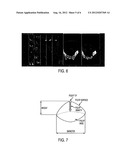 Presentation of Locations in Medical Diagnosis diagram and image