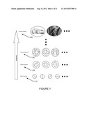 METHOD AND APPARATUS FOR DISPARITY COMPUTATION IN STEREO IMAGES diagram and image