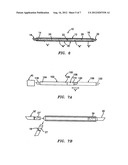 DUAL CLEANING APPARATUS diagram and image