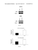 LAMININS, DERIVATIVES, AND COMPOSITIONS INCLUDING SAME AND METHODS FOR     THEIR THERAPEUTIC USE diagram and image