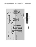 AUTISM-ASSOCIATED BIOMARKERS AND USES THEREOF diagram and image