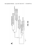 AUTISM-ASSOCIATED BIOMARKERS AND USES THEREOF diagram and image