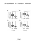 AUTISM-ASSOCIATED BIOMARKERS AND USES THEREOF diagram and image