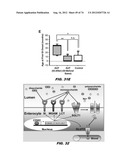 AUTISM-ASSOCIATED BIOMARKERS AND USES THEREOF diagram and image